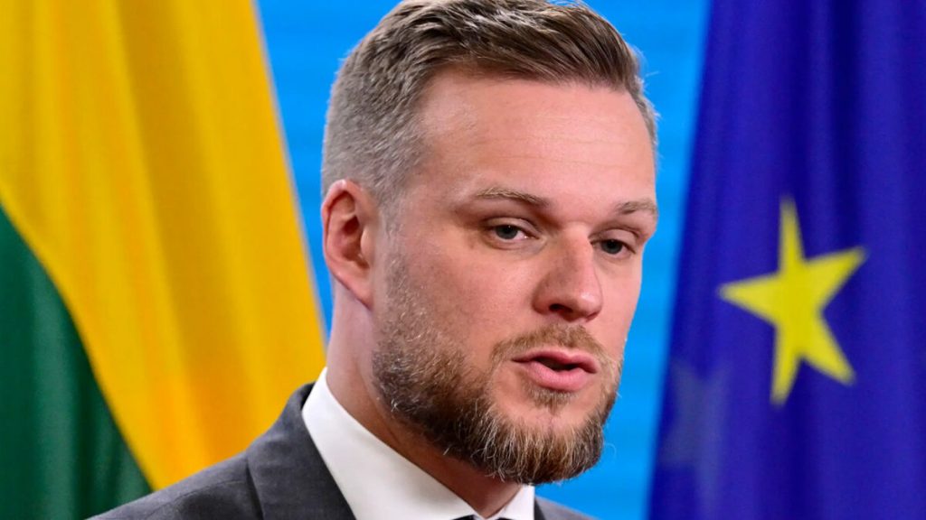 Мысли о проигрыше Украины допускать не можно: украинский генерал раскритиковал заявление главы МИД Литвы
