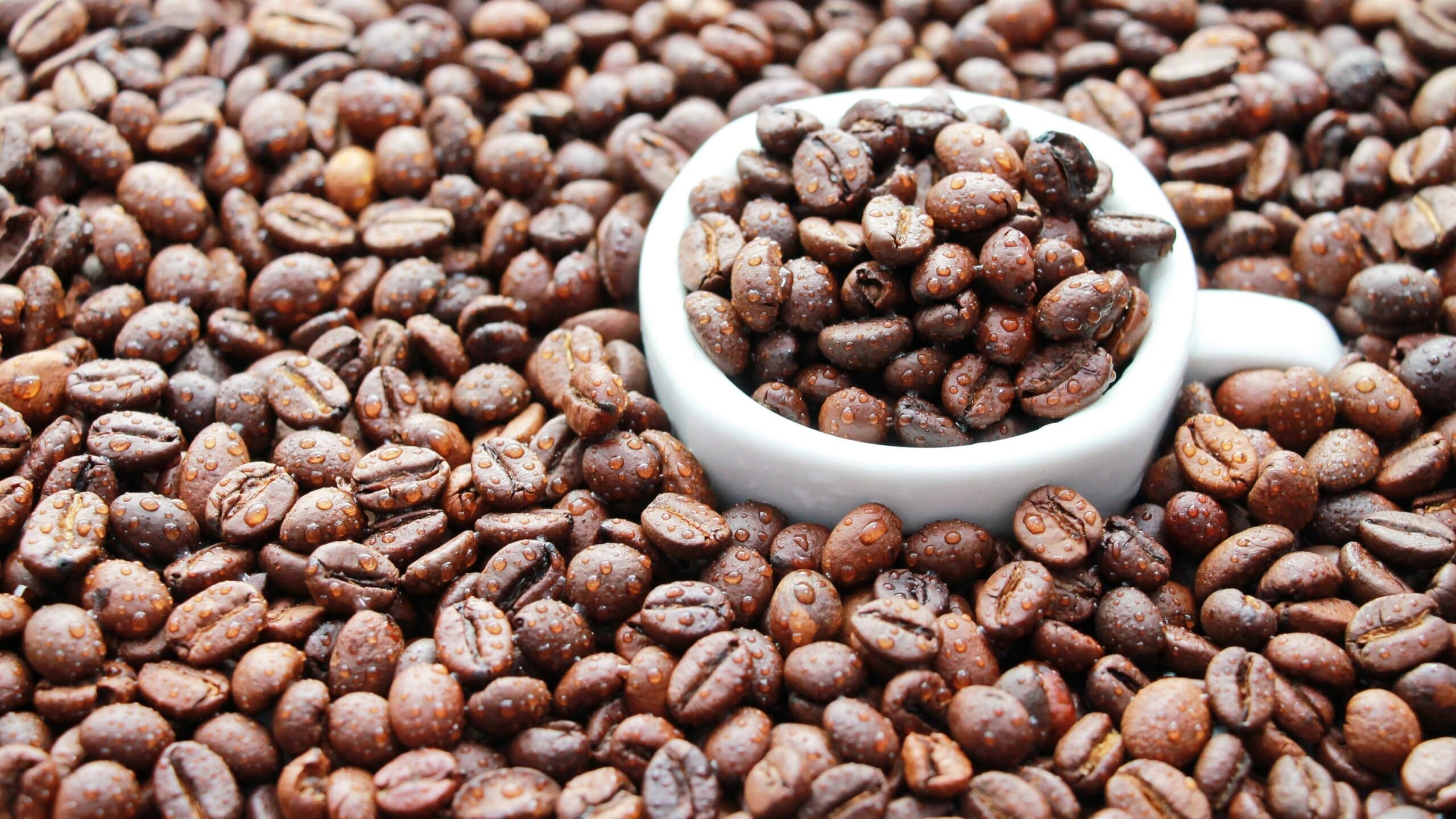 Как правильно хранить кофе в зернах, чтобы сохранить его аромат и вкус