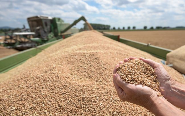 Світові ціни на продовольство падають на тлі рекордного врожаю зернових, – ООН