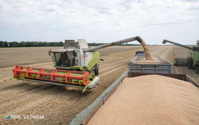 За таких температур нічого не росте: аномальна спека скоротить урожай зерна в Україні