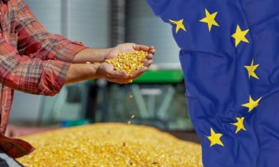 Ряд стран ЕС призывают вернуть довоенные квоты на агропродукцию из Украины