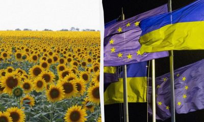 Без перевірок і з повним доступом: ЄС дозволив Україні експортувати насіння без обмежень — всі деталі рішення