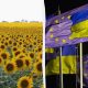 Без перевірок і з повним доступом: ЄС дозволив Україні експортувати насіння без обмежень — всі деталі рішення