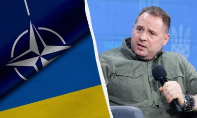 Закрытый сценарий саммита НАТО: почему Украина требует решений, а не формальностей