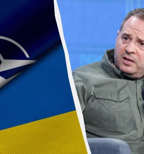 Закрытый сценарий саммита НАТО: почему Украина требует решений, а не формальностей