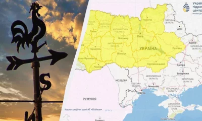 В Украине бушует сильный ветер: синоптики предупреждают о небезопасности