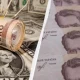 В Украине подешевел евро: почему гривна неожиданно укрепилась на фоне валютных колебаний