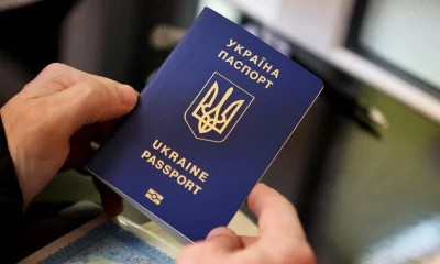 Что делать, если потерял паспорт: алгоритм действий