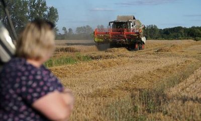 Жнива 2025: в Украине началась уборка зерна, а что ожидать от урожая и цен