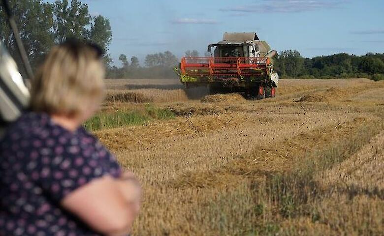 Жнива 2025: в Украине началась уборка зерна, а что ожидать от урожая и цен