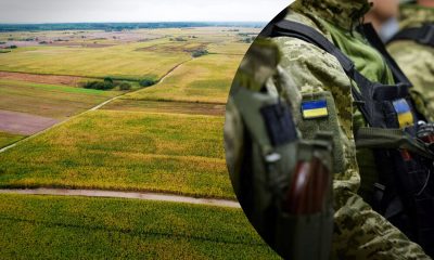 Земля без очереди: что нужно знать участникам боевых действий о новых правилах получения участков