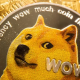 Dogecoin пережил обвал: что стало причиной снижения на 7%