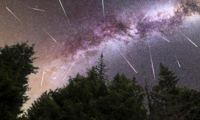 Персеиды 2025: где и когда наблюдать метеорный поток
